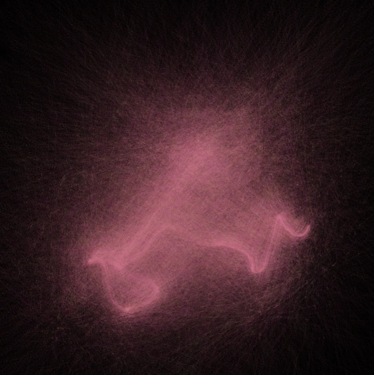 Laboratory Occupied (2021), documentation image 4, from Jeanyoon Choi's experiments.